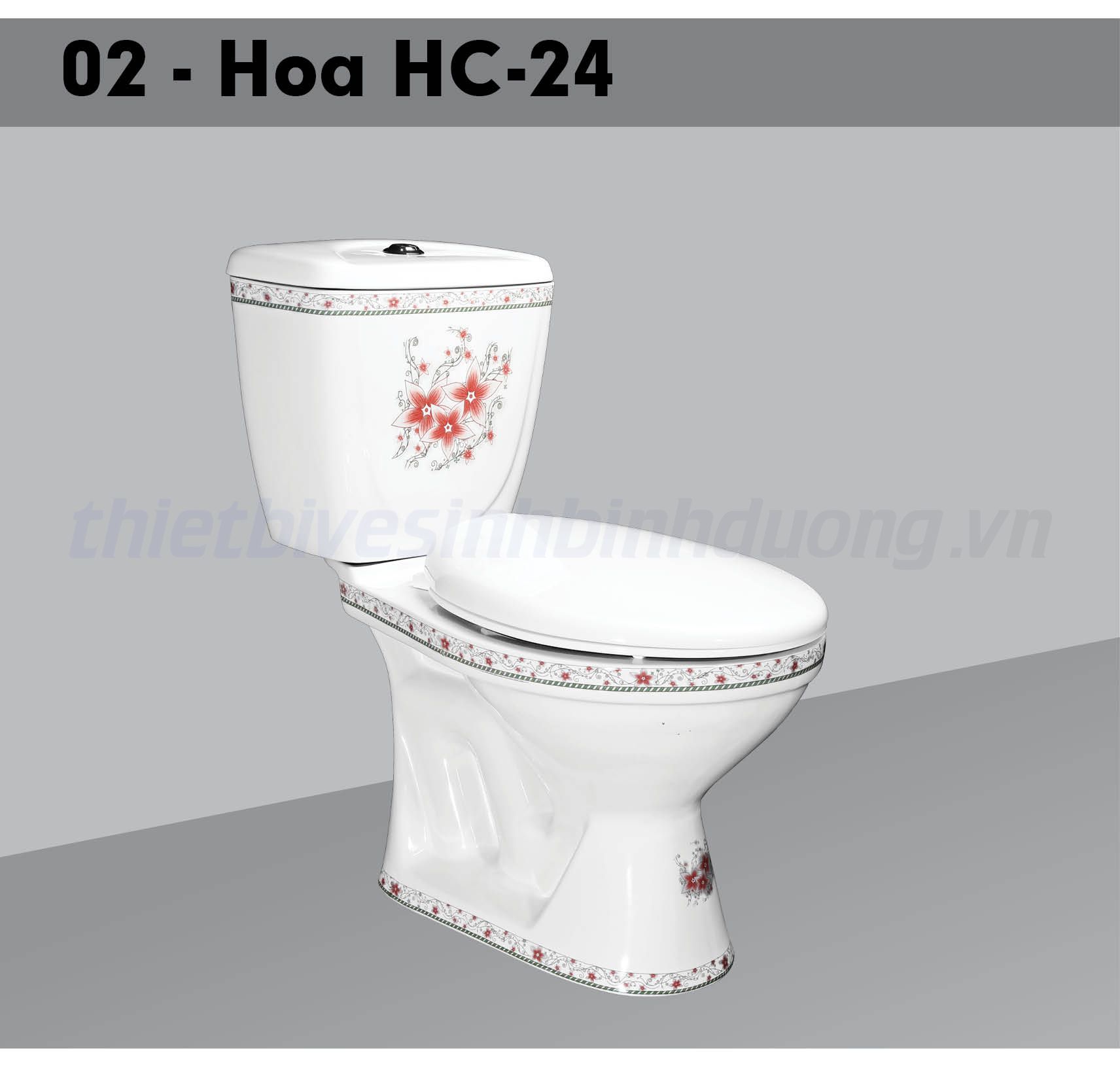 Bồn cầu sứ Hảo Cảnh HC V02